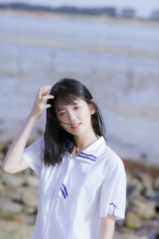 小羊肖恩全集